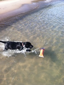 First water fetch (12 weeks)